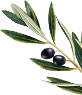 Olive Leaf